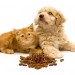 puppy and kitty with their kibble