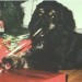 A clinic dog opening a christmas present